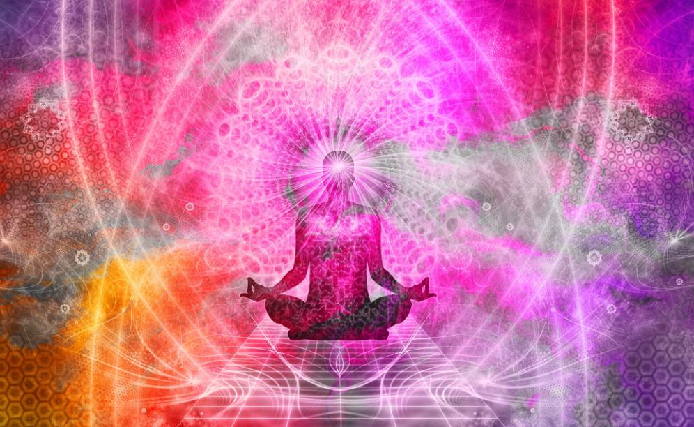 shroom therapy